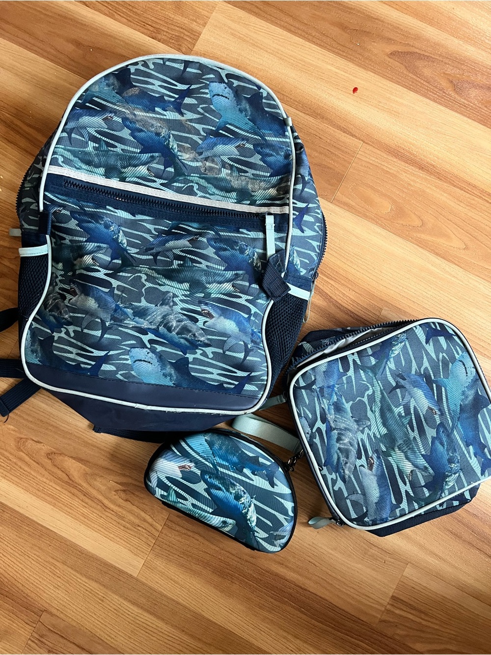 Shark Print Blue Kids 3pc Backpack Set